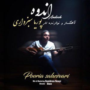 دانلود آهنگ پوریا سبزواری به نام اندوه