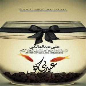 دانلود آهنگ علی عبدالمالکی به نام عید بی تو