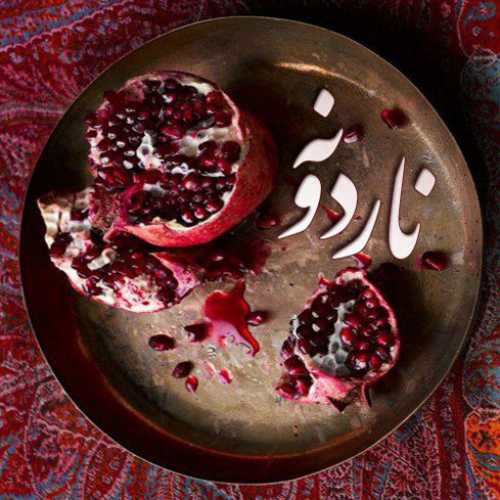 علی زند وکیلی ناردونه