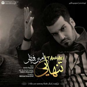 دانلود آهنگ امین فیاض به نام تنهایی