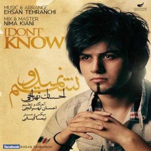 دانلود آهنگ احسان تهرانچی به نام نمیدونستم