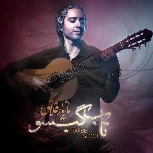 مازیار فلاحی تاب گیسو