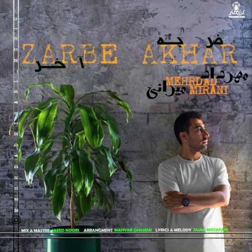 مهرداد میرانی ضربه آخر
