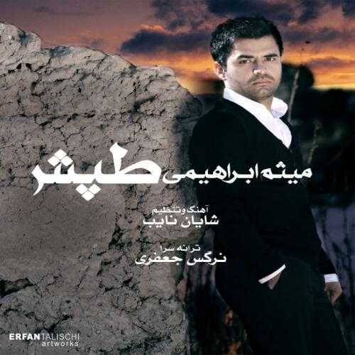 میثم ابراهیمی طپش