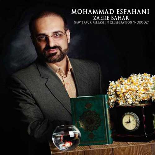محمد اصفهانی زائر بهار
