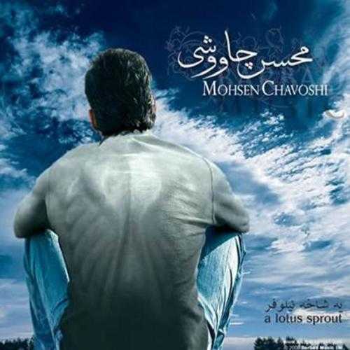 محسن چاوشی دلتنگی