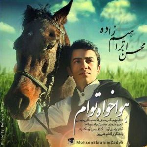 دانلود آهنگ محسن ابراهیم زاده به نام هواخواه توام