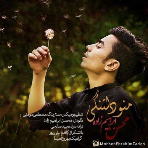 محسن ابراهیم زاده منو دلتنگی
