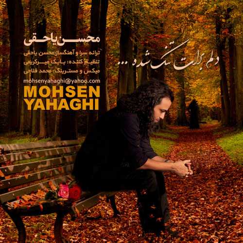 محسن یاحقی دلم برات تنگ شده