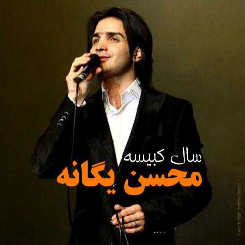 محسن یگانه و حامد هاکان سرنوشت