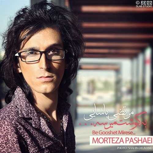 مرتضی پاشایی به گوشت میرسه