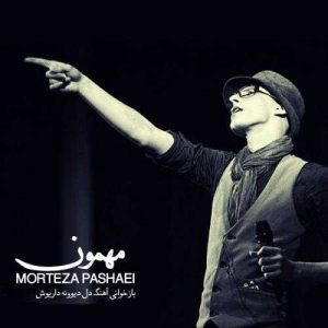 دانلود آهنگ مرتضی پاشایی به نام مهمون