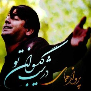دانلود آهنگ پرواز همای به نام درشب کیسوان تو