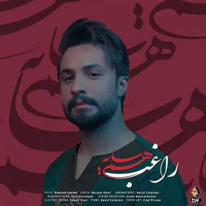 دانلود آهنگ راغب به نام همسایه