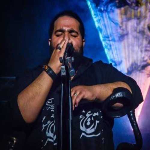رضا صادقی بندری 2
