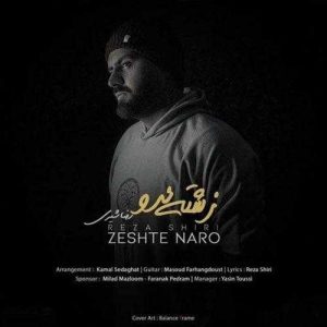 دانلود آهنگ رضا شیری به نام زشته نرو