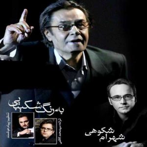 دانلود آهنگ شهرام شکوهی به نام به رنگ شکیبایی
