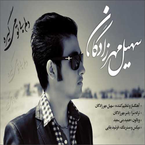 سهیل مهرزادگان دلم بی تو میگیره