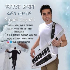 دانلود آهنگ اسماعیل زینلی به نام عروس برفی