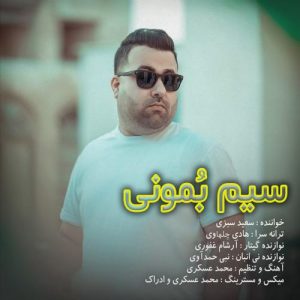 دانلود آهنگ سعید سبزی به نام سیم بمونی
