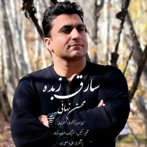دانلود آهنگ محسن نهایی به نام سارق زبده