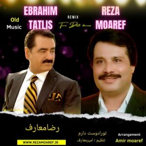 دانلود آهنگ رضا معارف به نام تو رو دوست دارم
