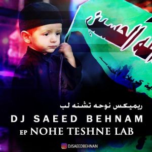 دانلود آهنگ دیجی سعید بهنام به نام ریمیکس تشنه لب