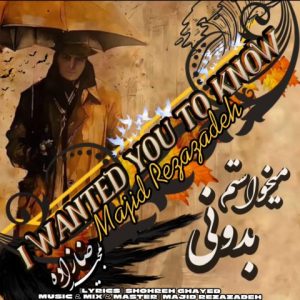 دانلود آهنگ مجید رضازاده به نام میخواستم بدونى