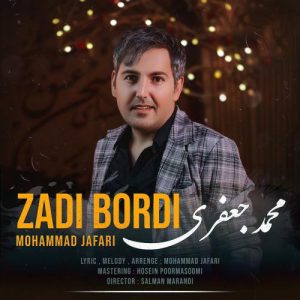 دانلود آهنگ محمد جعفری به نام زدی بردی