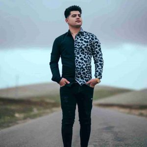 دانلود آهنگ امیرحافظ رنجبر به نام روزیل پر پر من آخر شر