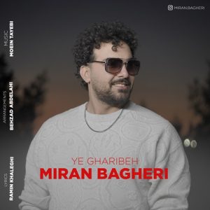 دانلود آهنگ میران باقری به نام یه غریبه