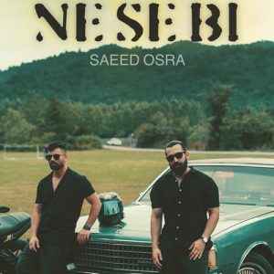 دانلود آهنگ سعید عسرا به نام نه سه بی