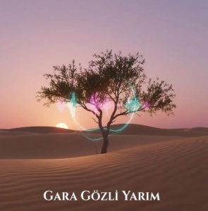 دانلود آهنگ علیرضا جوادی به نام گوزوم عاشقدی قارا گوزلرینه