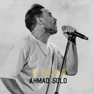 دانلود آهنگ احمد سلو به نام شبگرد