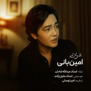 دانلود آهنگ امین بانی به نام وقتی عاشق شوی