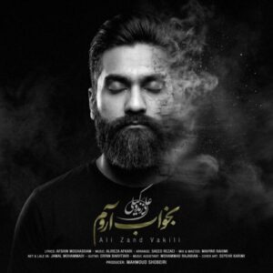 دانلود آهنگ علی زند وکیلی به نام بخواب آروم