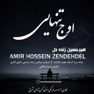دانلود آهنگ امیرحسین زنده دل به نام اوج تنهایی