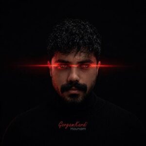 دانلود آهنگ هونام به نام تو منو گرگم کردی