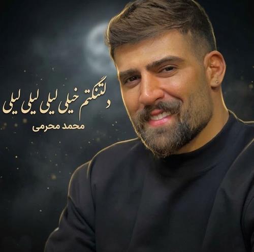 محمد محرمی دلتنگتم خیلی لیلی لیلی لیلی تو که نباشی پیش من به زندگی میلی
