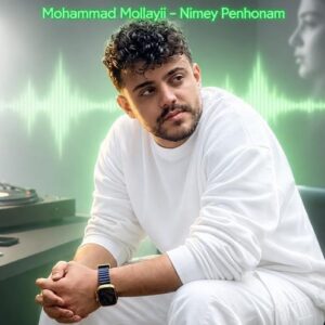 دانلود آهنگ محمد ملایی به نام دوس دارم صدات کنم توهم بگی جونم نیمه پنهونم