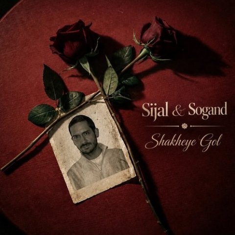 سیجل شاخه گل (به همراهی سوگند)